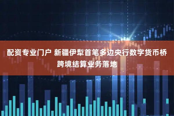 配资专业门户 新疆伊犁首笔多边央行数字货币桥跨境结算业务落地