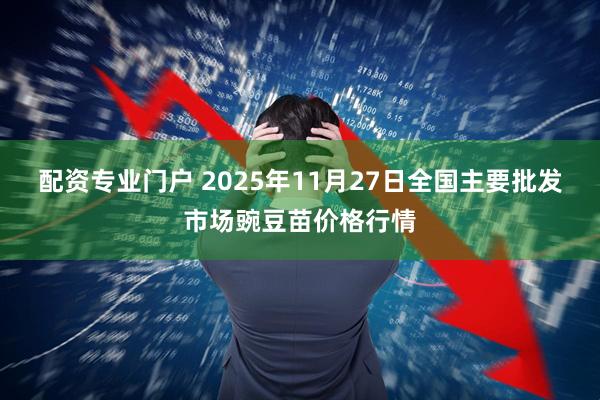 配资专业门户 2025年11月27日全国主要批发市场豌豆苗价格行情